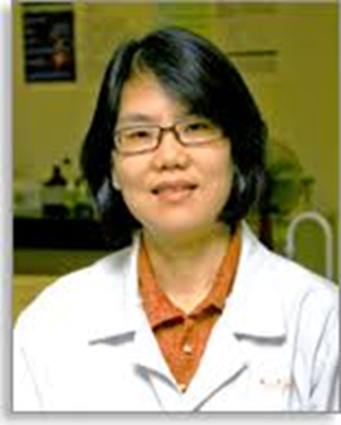 Professor Dr. Teh Lay Kek