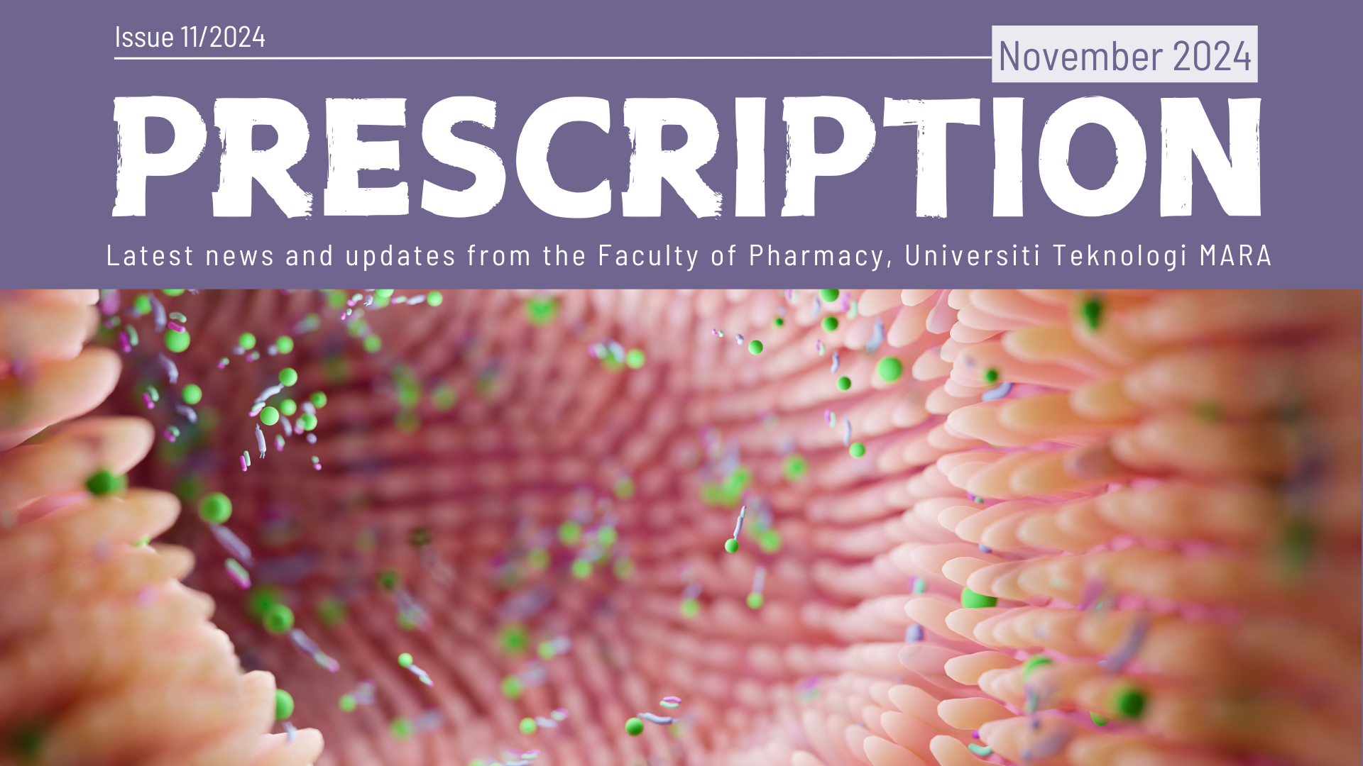 Prescription Newsletter - Issue 11/2024