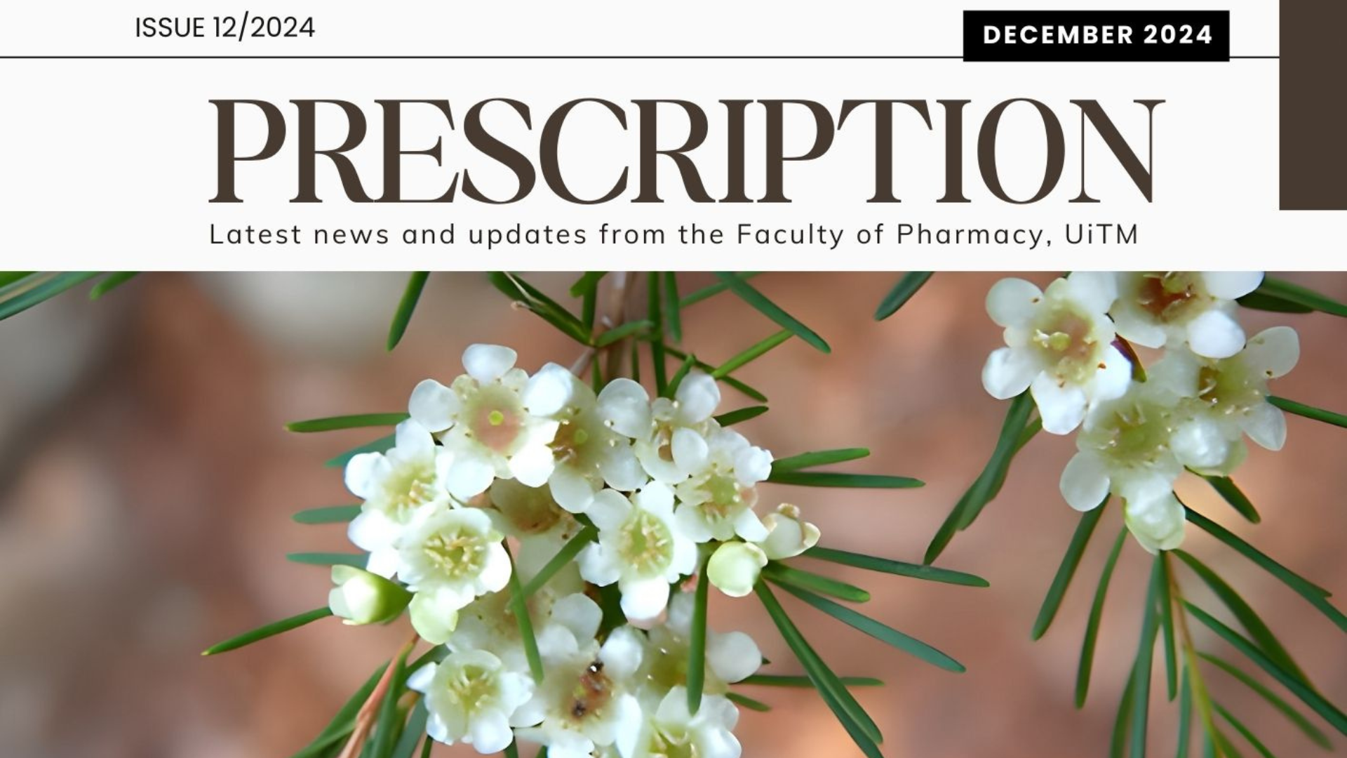 Prescription Newsletter - Issue 1/2025 