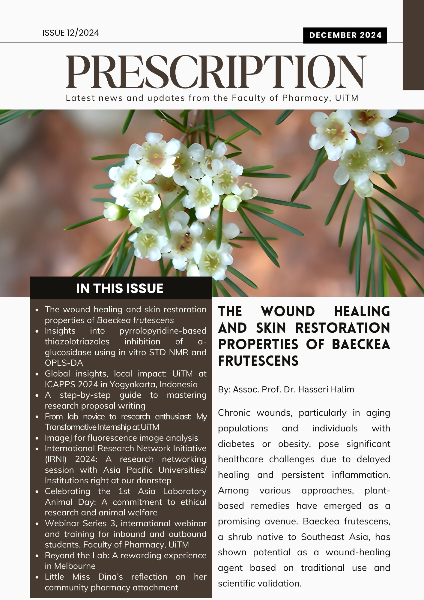 Prescription Newsletter - Issue 12/2024 