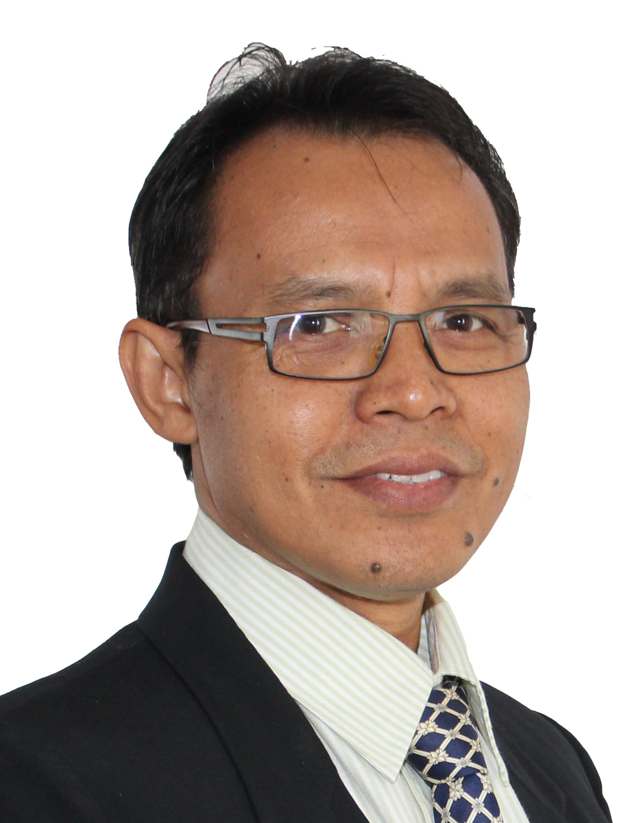 Assoc. Prof. Dr. Hamid Fauzi